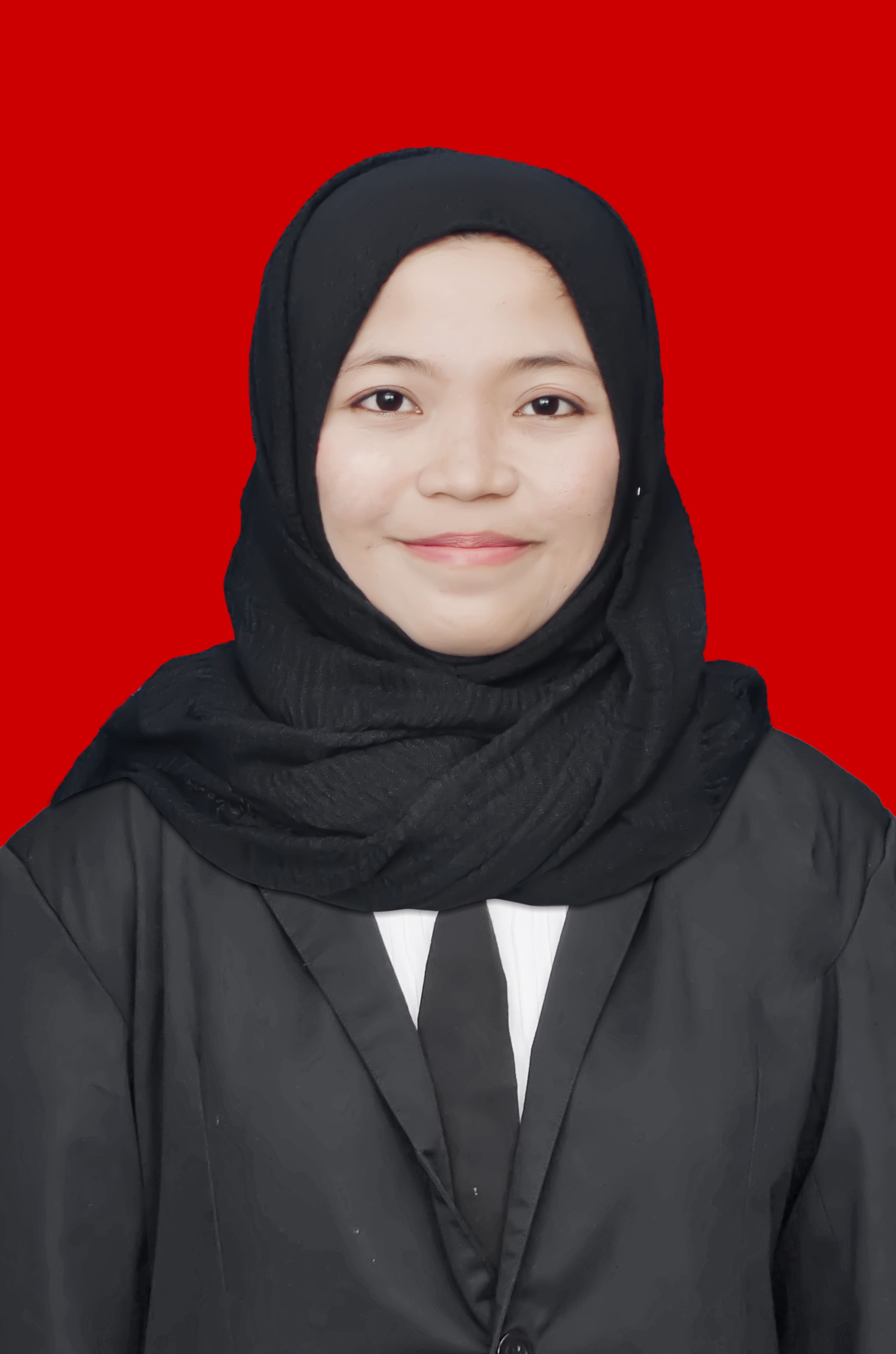 mediator non hakim min