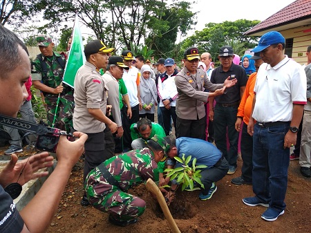 penanaman pohon 1