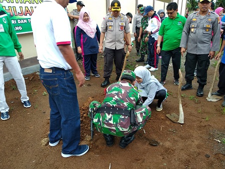 penanaman pohon 2